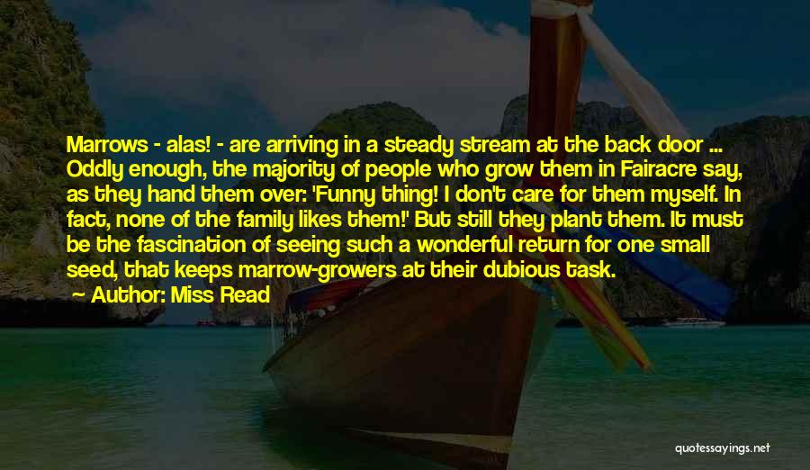 Miss Read Quotes: Marrows - Alas! - Are Arriving In A Steady Stream At The Back Door ... Oddly Enough, The Majority Of