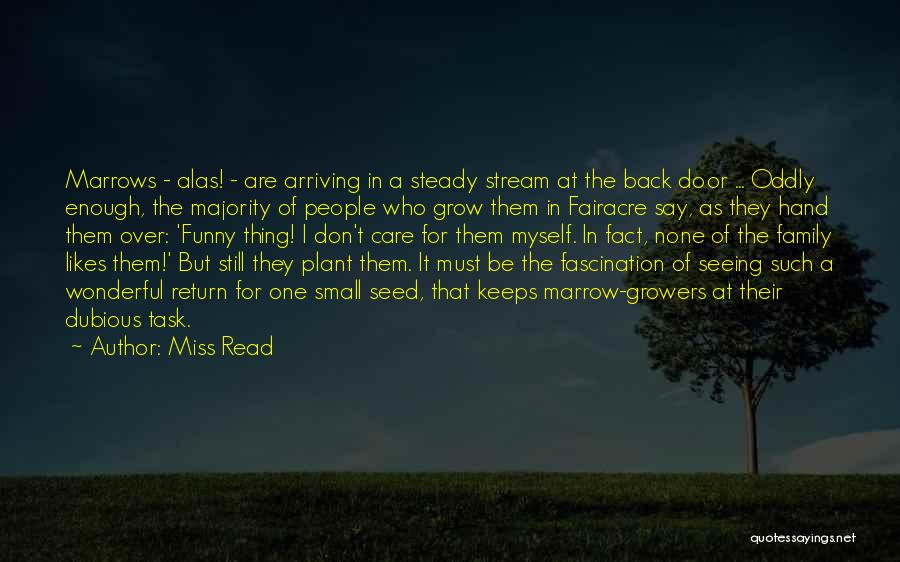 Miss Read Quotes: Marrows - Alas! - Are Arriving In A Steady Stream At The Back Door ... Oddly Enough, The Majority Of