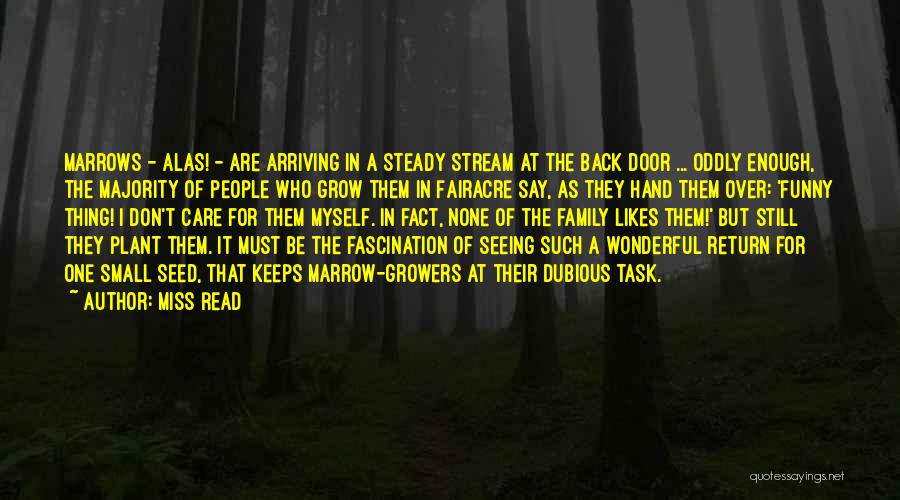 Miss Read Quotes: Marrows - Alas! - Are Arriving In A Steady Stream At The Back Door ... Oddly Enough, The Majority Of