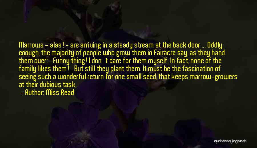 Miss Read Quotes: Marrows - Alas! - Are Arriving In A Steady Stream At The Back Door ... Oddly Enough, The Majority Of