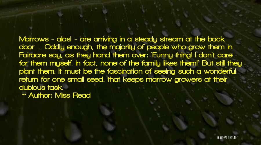 Miss Read Quotes: Marrows - Alas! - Are Arriving In A Steady Stream At The Back Door ... Oddly Enough, The Majority Of