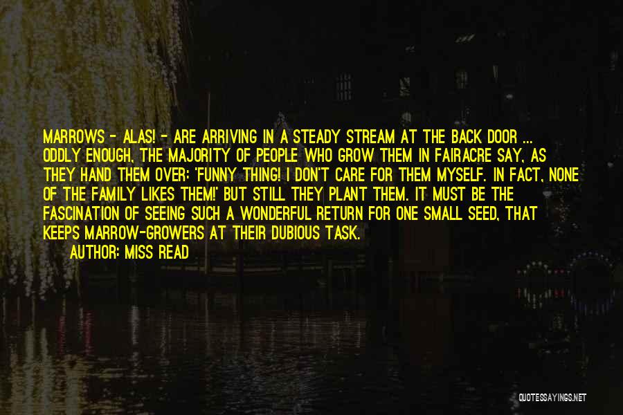 Miss Read Quotes: Marrows - Alas! - Are Arriving In A Steady Stream At The Back Door ... Oddly Enough, The Majority Of