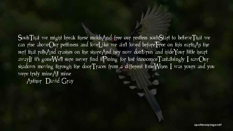 David Gray Quotes: Soulsthat We Might Break These Moldsand Free Our Restless Soulsstart To Believethat We Can Rise Aboveour Pettiness And Lovelike We