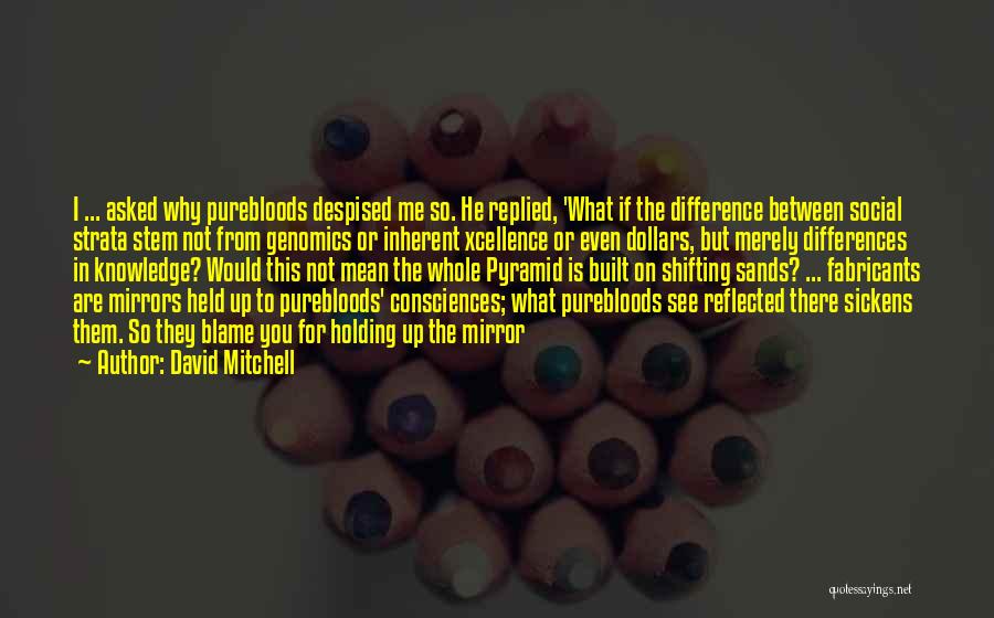 David Mitchell Quotes: I ... Asked Why Purebloods Despised Me So. He Replied, 'what If The Difference Between Social Strata Stem Not From