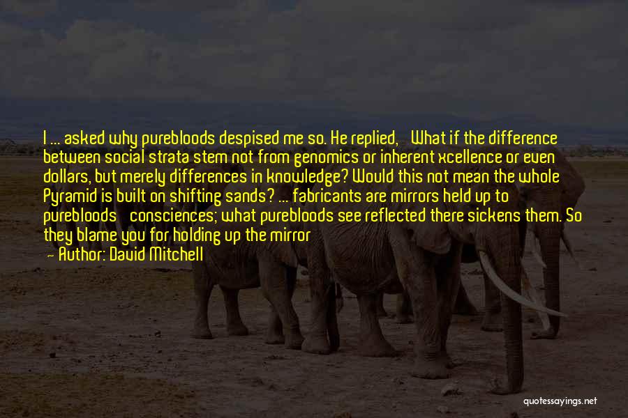 David Mitchell Quotes: I ... Asked Why Purebloods Despised Me So. He Replied, 'what If The Difference Between Social Strata Stem Not From