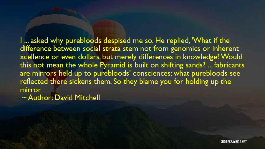 David Mitchell Quotes: I ... Asked Why Purebloods Despised Me So. He Replied, 'what If The Difference Between Social Strata Stem Not From