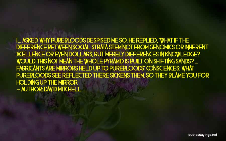 David Mitchell Quotes: I ... Asked Why Purebloods Despised Me So. He Replied, 'what If The Difference Between Social Strata Stem Not From