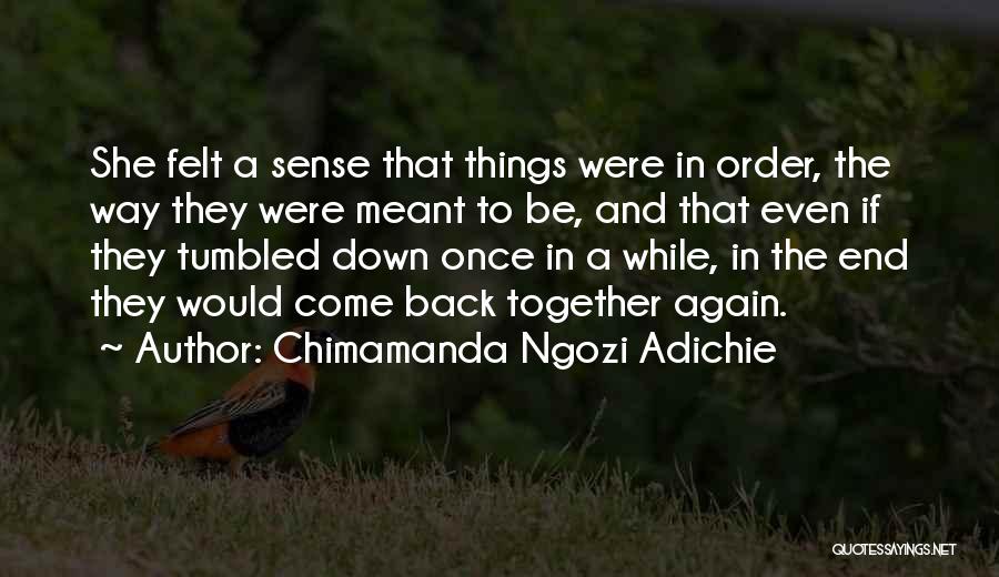 Chimamanda Ngozi Adichie Quotes: She Felt A Sense That Things Were In Order, The Way They Were Meant To Be, And That Even If