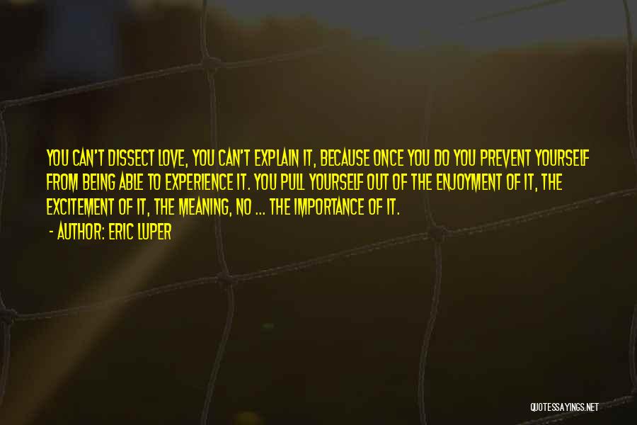 Eric Luper Quotes: You Can't Dissect Love, You Can't Explain It, Because Once You Do You Prevent Yourself From Being Able To Experience