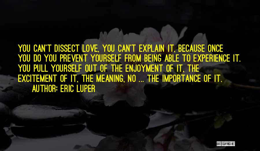 Eric Luper Quotes: You Can't Dissect Love, You Can't Explain It, Because Once You Do You Prevent Yourself From Being Able To Experience