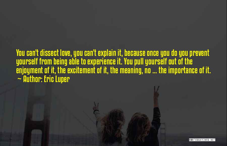 Eric Luper Quotes: You Can't Dissect Love, You Can't Explain It, Because Once You Do You Prevent Yourself From Being Able To Experience