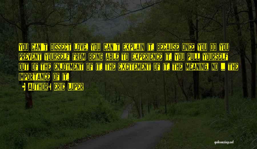 Eric Luper Quotes: You Can't Dissect Love, You Can't Explain It, Because Once You Do You Prevent Yourself From Being Able To Experience