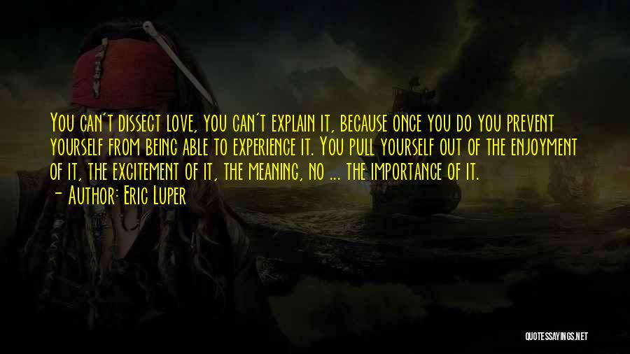 Eric Luper Quotes: You Can't Dissect Love, You Can't Explain It, Because Once You Do You Prevent Yourself From Being Able To Experience