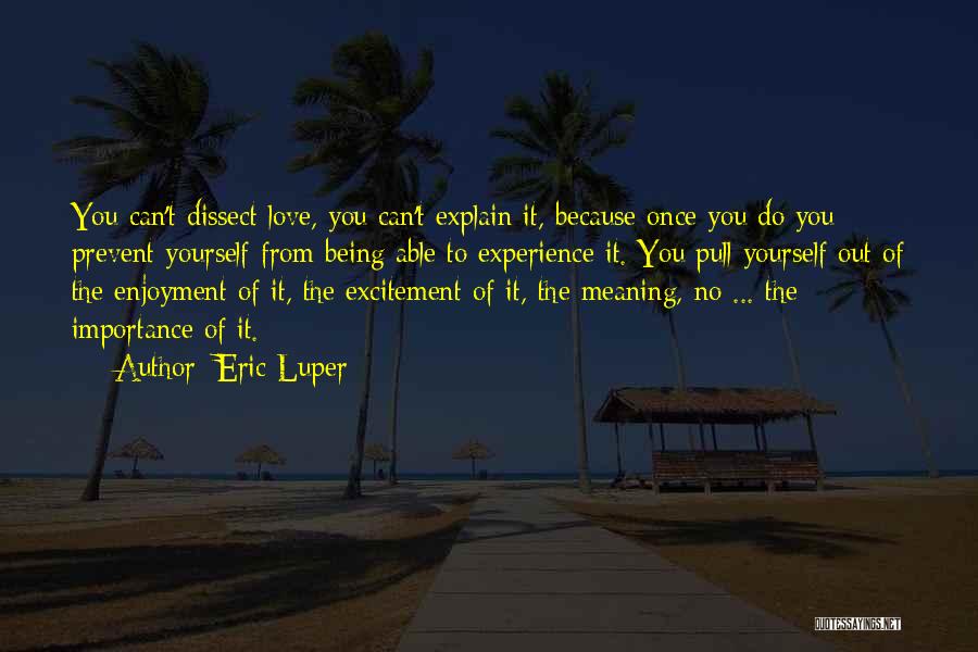 Eric Luper Quotes: You Can't Dissect Love, You Can't Explain It, Because Once You Do You Prevent Yourself From Being Able To Experience