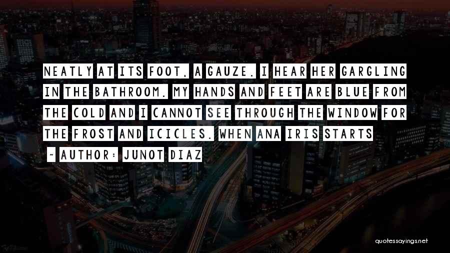 Junot Diaz Quotes: Neatly At Its Foot, A Gauze. I Hear Her Gargling In The Bathroom. My Hands And Feet Are Blue From