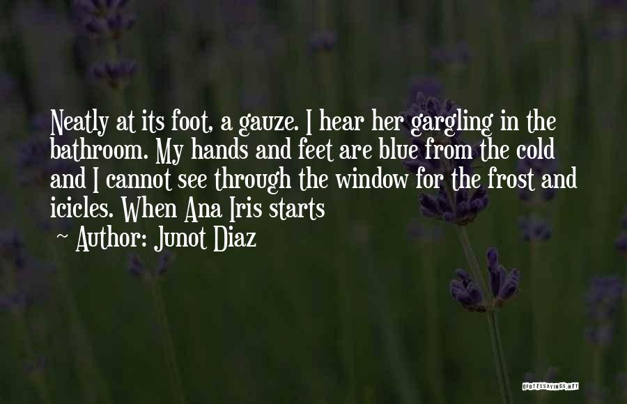 Junot Diaz Quotes: Neatly At Its Foot, A Gauze. I Hear Her Gargling In The Bathroom. My Hands And Feet Are Blue From