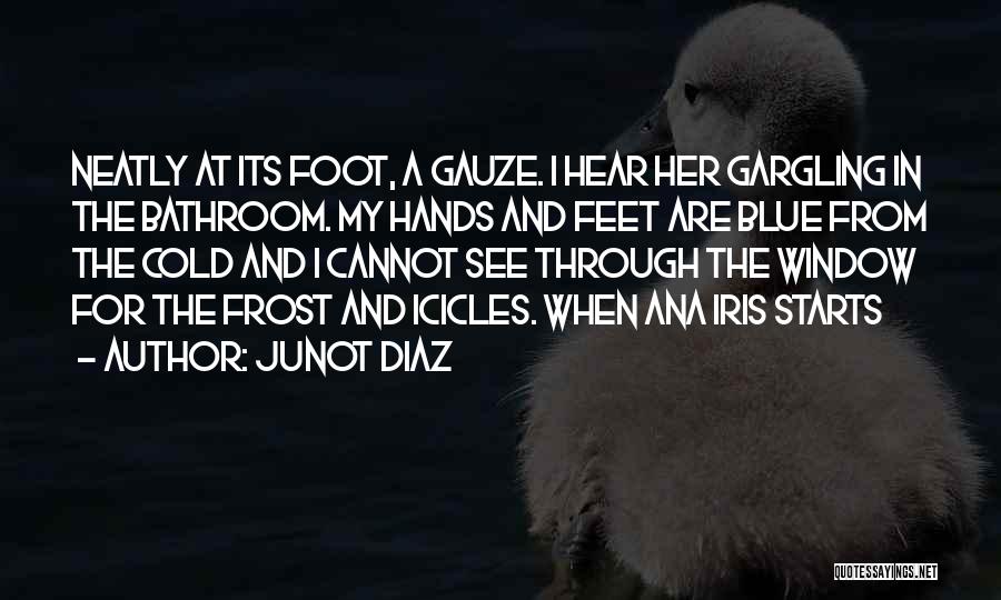 Junot Diaz Quotes: Neatly At Its Foot, A Gauze. I Hear Her Gargling In The Bathroom. My Hands And Feet Are Blue From