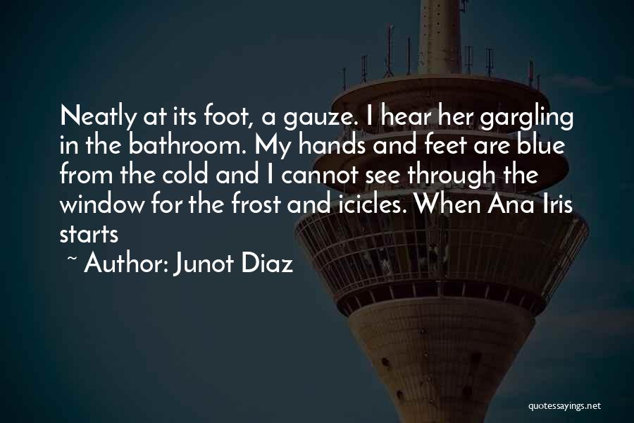 Junot Diaz Quotes: Neatly At Its Foot, A Gauze. I Hear Her Gargling In The Bathroom. My Hands And Feet Are Blue From