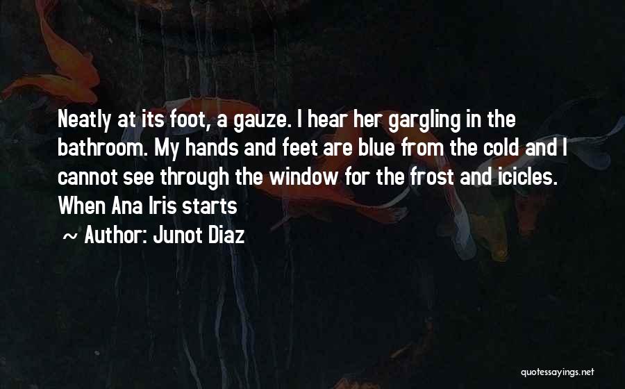 Junot Diaz Quotes: Neatly At Its Foot, A Gauze. I Hear Her Gargling In The Bathroom. My Hands And Feet Are Blue From