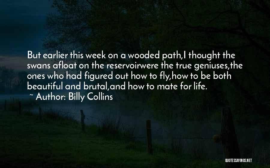 Billy Collins Quotes: But Earlier This Week On A Wooded Path,i Thought The Swans Afloat On The Reservoirwere The True Geniuses,the Ones Who