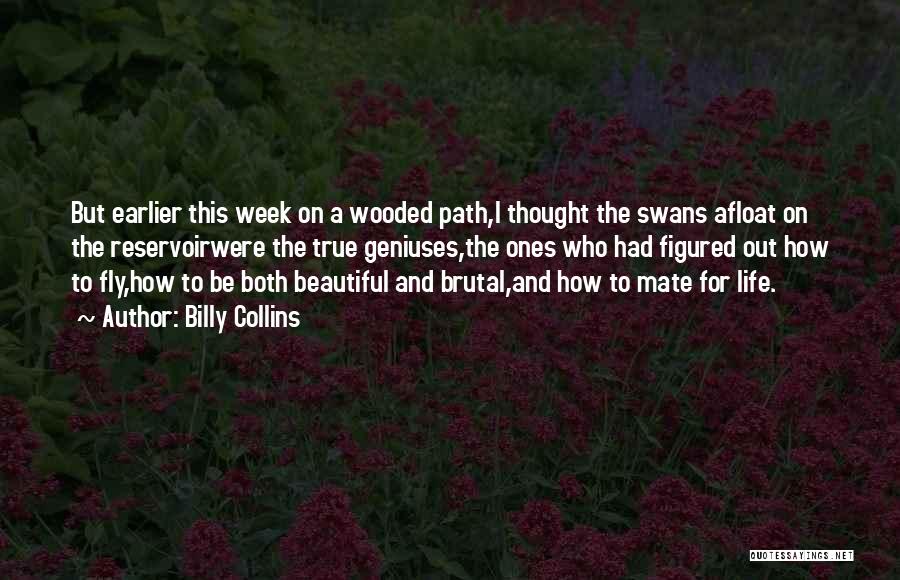 Billy Collins Quotes: But Earlier This Week On A Wooded Path,i Thought The Swans Afloat On The Reservoirwere The True Geniuses,the Ones Who