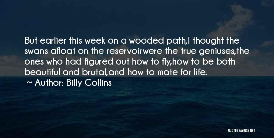 Billy Collins Quotes: But Earlier This Week On A Wooded Path,i Thought The Swans Afloat On The Reservoirwere The True Geniuses,the Ones Who