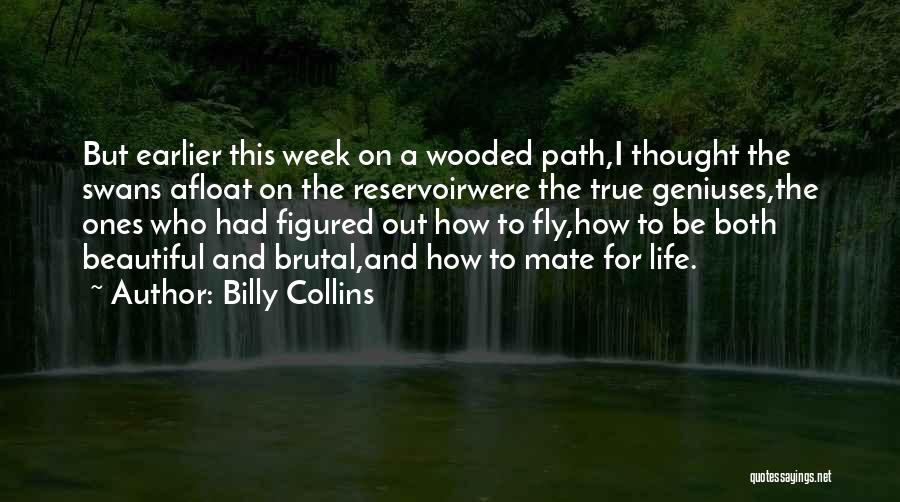 Billy Collins Quotes: But Earlier This Week On A Wooded Path,i Thought The Swans Afloat On The Reservoirwere The True Geniuses,the Ones Who