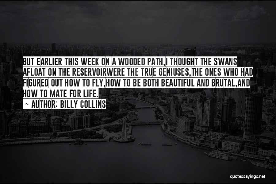 Billy Collins Quotes: But Earlier This Week On A Wooded Path,i Thought The Swans Afloat On The Reservoirwere The True Geniuses,the Ones Who