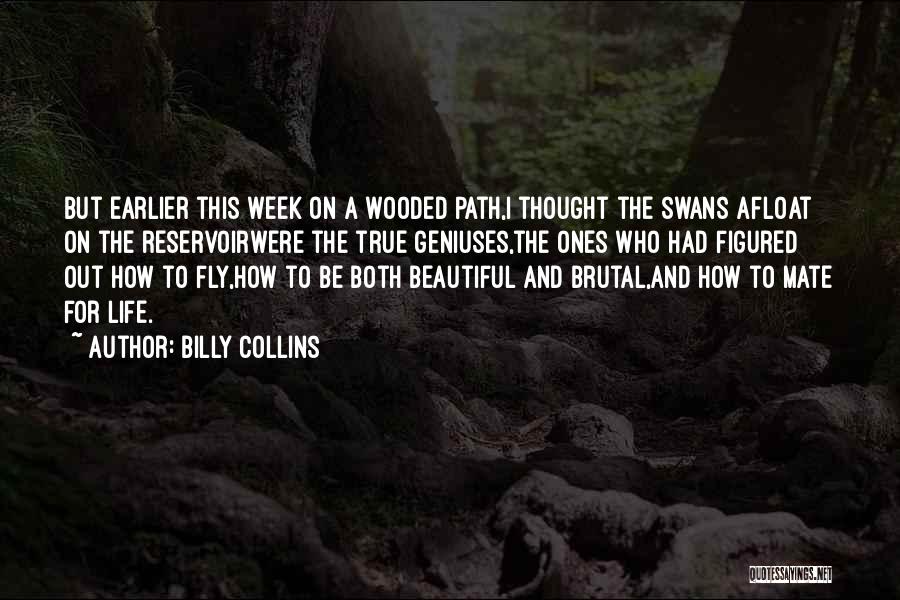 Billy Collins Quotes: But Earlier This Week On A Wooded Path,i Thought The Swans Afloat On The Reservoirwere The True Geniuses,the Ones Who