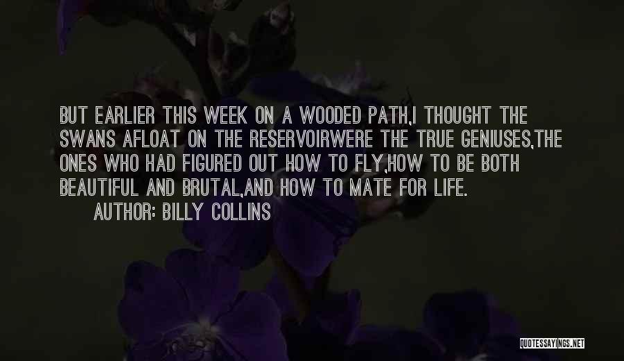Billy Collins Quotes: But Earlier This Week On A Wooded Path,i Thought The Swans Afloat On The Reservoirwere The True Geniuses,the Ones Who