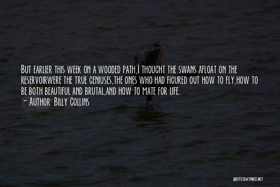 Billy Collins Quotes: But Earlier This Week On A Wooded Path,i Thought The Swans Afloat On The Reservoirwere The True Geniuses,the Ones Who
