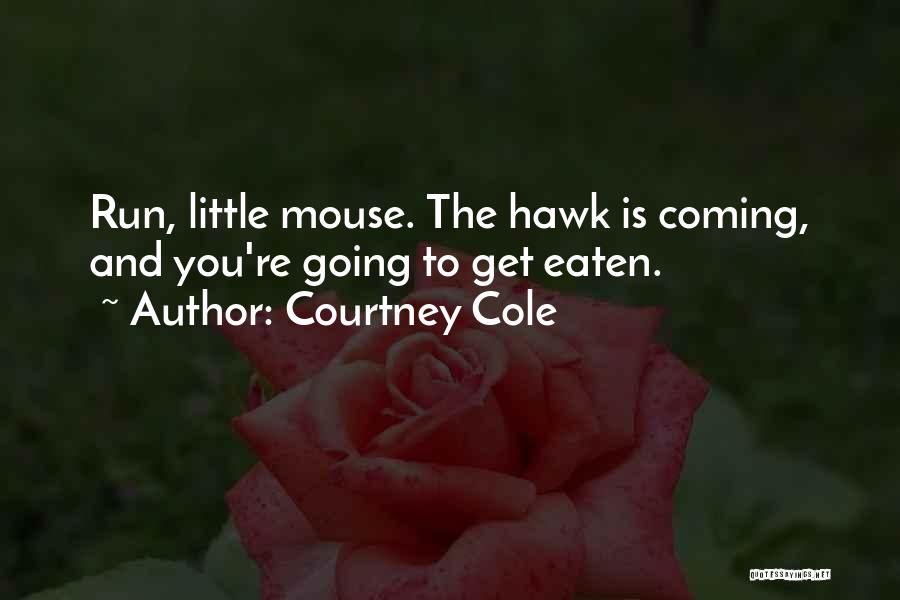Courtney Cole Quotes: Run, Little Mouse. The Hawk Is Coming, And You're Going To Get Eaten.