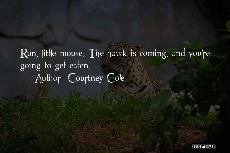 Courtney Cole Quotes: Run, Little Mouse. The Hawk Is Coming, And You're Going To Get Eaten.