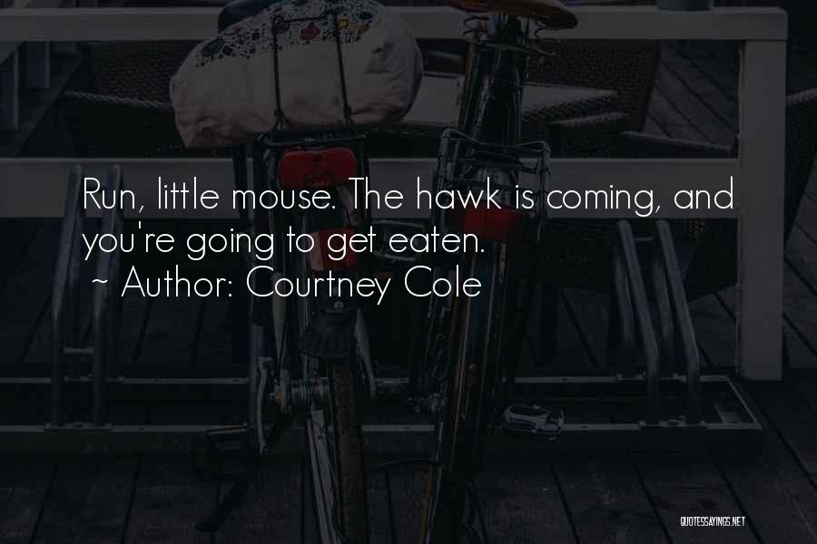 Courtney Cole Quotes: Run, Little Mouse. The Hawk Is Coming, And You're Going To Get Eaten.