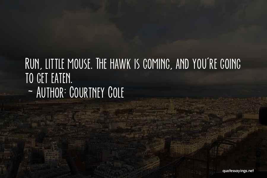 Courtney Cole Quotes: Run, Little Mouse. The Hawk Is Coming, And You're Going To Get Eaten.