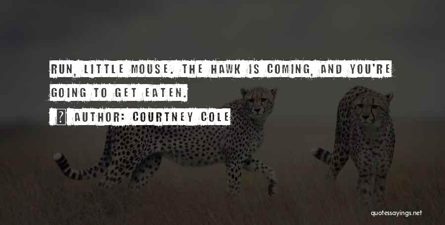Courtney Cole Quotes: Run, Little Mouse. The Hawk Is Coming, And You're Going To Get Eaten.