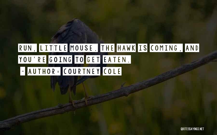 Courtney Cole Quotes: Run, Little Mouse. The Hawk Is Coming, And You're Going To Get Eaten.