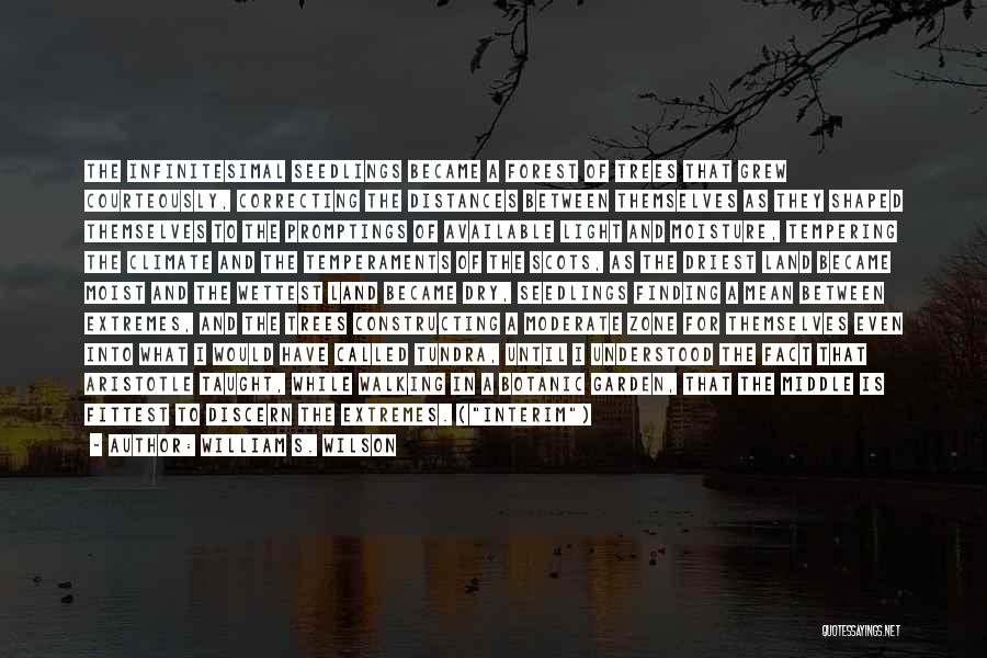 William S. Wilson Quotes: The Infinitesimal Seedlings Became A Forest Of Trees That Grew Courteously, Correcting The Distances Between Themselves As They Shaped Themselves