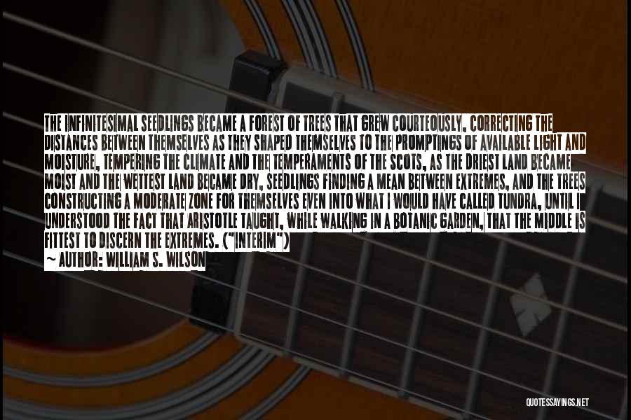 William S. Wilson Quotes: The Infinitesimal Seedlings Became A Forest Of Trees That Grew Courteously, Correcting The Distances Between Themselves As They Shaped Themselves