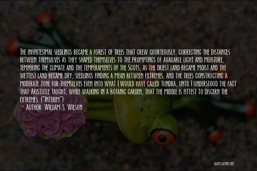 William S. Wilson Quotes: The Infinitesimal Seedlings Became A Forest Of Trees That Grew Courteously, Correcting The Distances Between Themselves As They Shaped Themselves