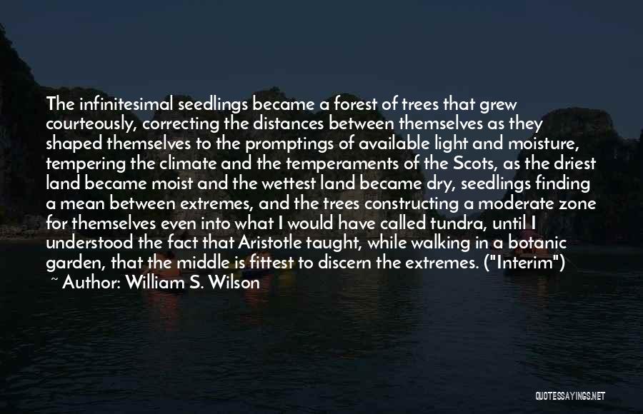 William S. Wilson Quotes: The Infinitesimal Seedlings Became A Forest Of Trees That Grew Courteously, Correcting The Distances Between Themselves As They Shaped Themselves