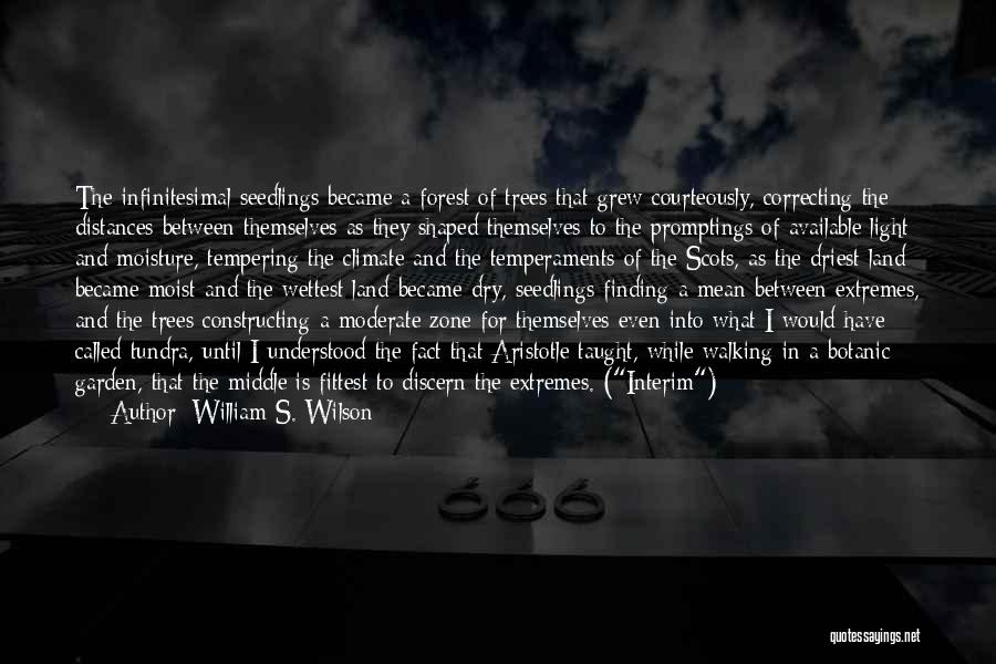 William S. Wilson Quotes: The Infinitesimal Seedlings Became A Forest Of Trees That Grew Courteously, Correcting The Distances Between Themselves As They Shaped Themselves