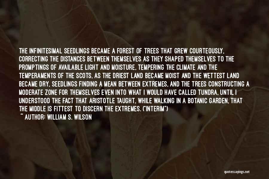 William S. Wilson Quotes: The Infinitesimal Seedlings Became A Forest Of Trees That Grew Courteously, Correcting The Distances Between Themselves As They Shaped Themselves