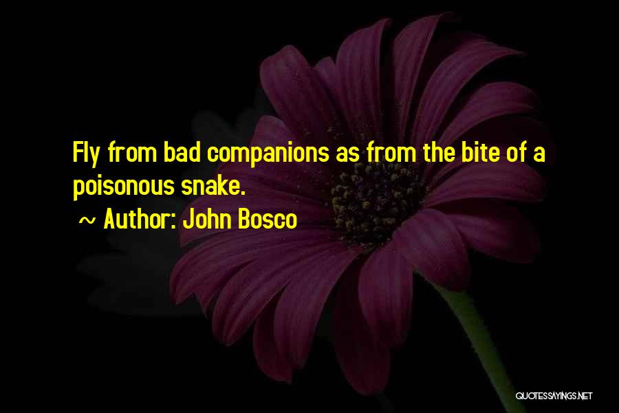 John Bosco Quotes: Fly From Bad Companions As From The Bite Of A Poisonous Snake.