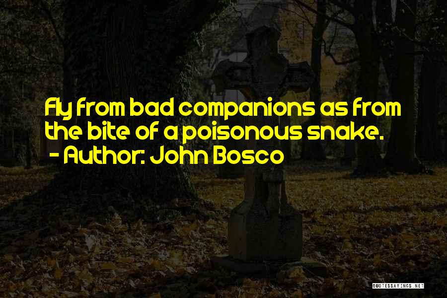 John Bosco Quotes: Fly From Bad Companions As From The Bite Of A Poisonous Snake.
