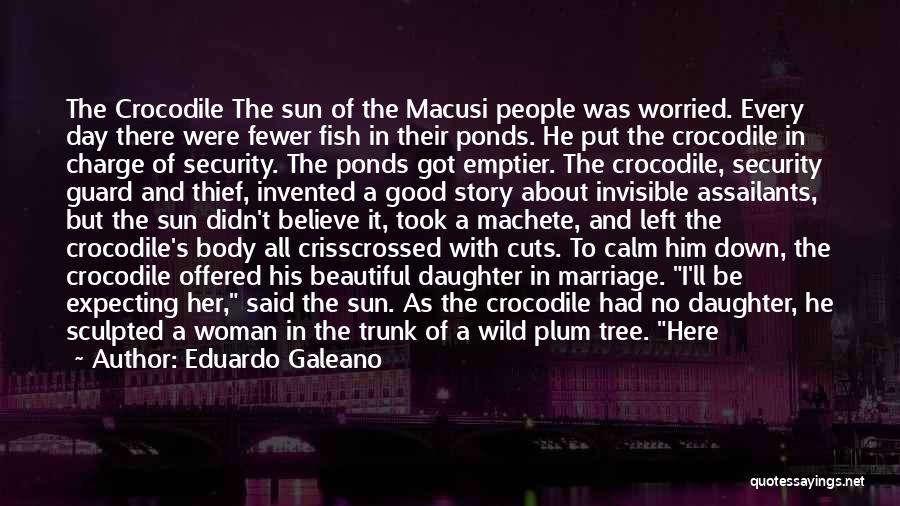 Eduardo Galeano Quotes: The Crocodile The Sun Of The Macusi People Was Worried. Every Day There Were Fewer Fish In Their Ponds. He