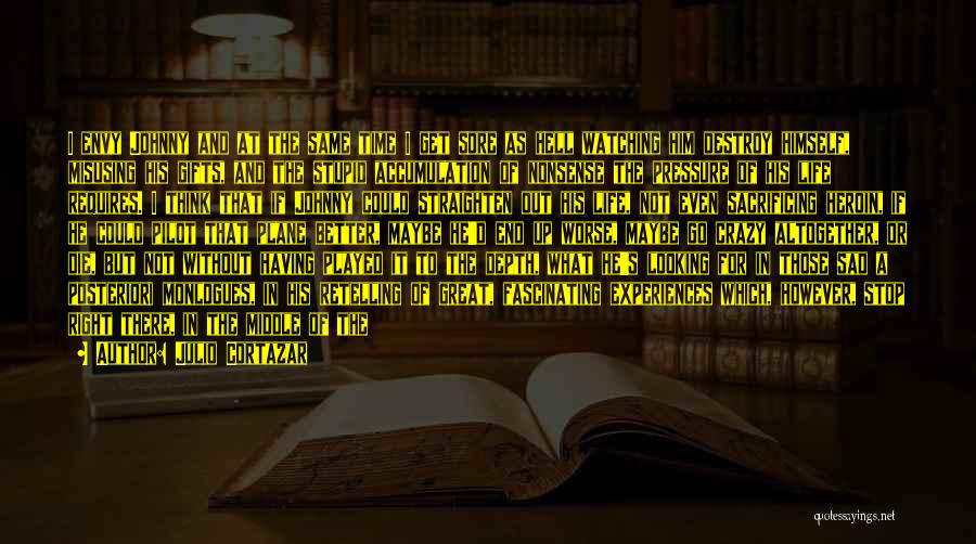 Julio Cortazar Quotes: I Envy Johnny And At The Same Time I Get Sore As Hell Watching Him Destroy Himself, Misusing His Gifts,