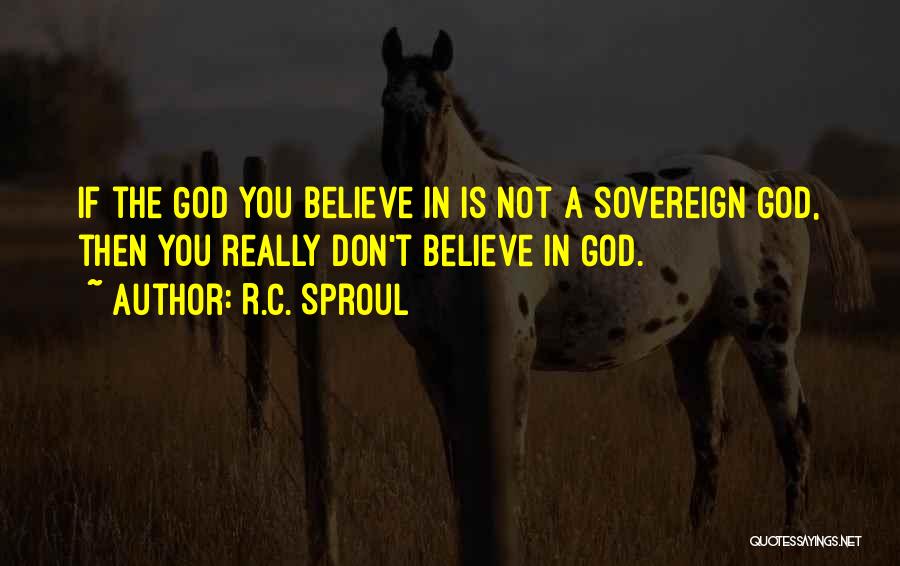 R.C. Sproul Quotes: If The God You Believe In Is Not A Sovereign God, Then You Really Don't Believe In God.