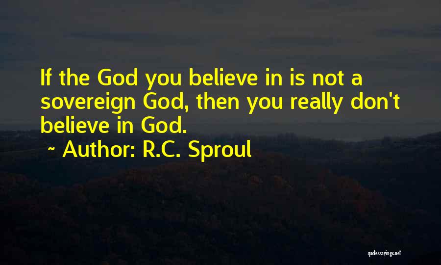 R.C. Sproul Quotes: If The God You Believe In Is Not A Sovereign God, Then You Really Don't Believe In God.