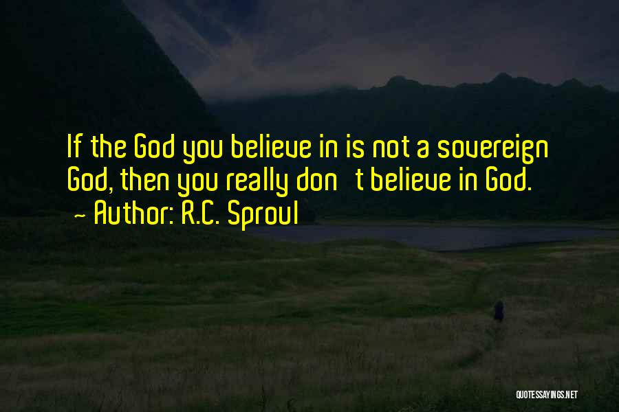 R.C. Sproul Quotes: If The God You Believe In Is Not A Sovereign God, Then You Really Don't Believe In God.